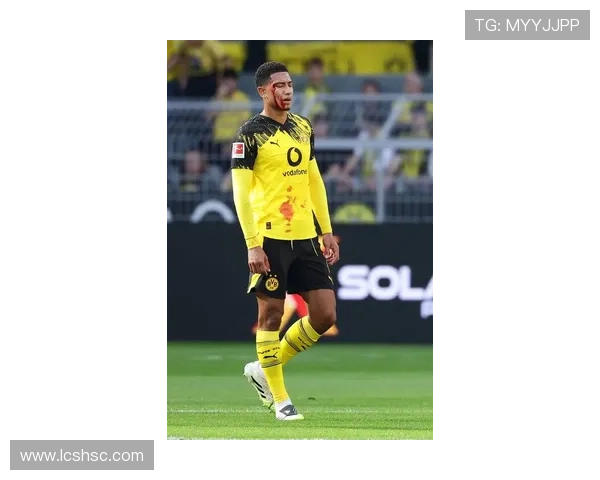 柏林联队新赛季备战全面展开 球员伤病恢复情况备受关注 柏林联队新赛季备战全面展开 球员伤病恢复情况备受关注