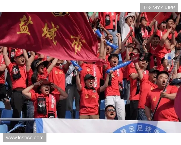 武汉城市足球超级联赛激战正酣 球迷热情高涨助力本地足球崛起 武汉城市足球超级联赛激战正酣 球迷热情高涨助力本地足球崛起