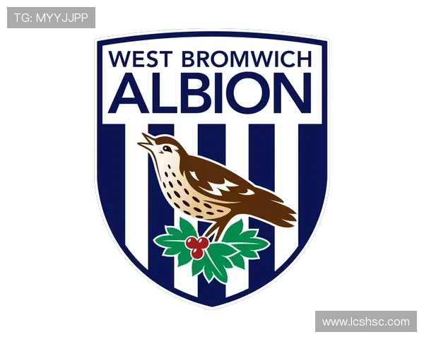 西布罗姆维奇足球俱乐部的辉煌历程与未来发展展望 西布罗姆维奇足球俱乐部的辉煌历程与未来发展展望