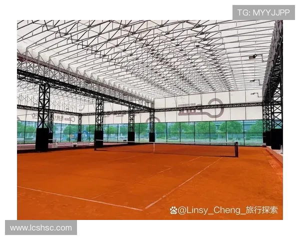 网球红土场与硬地草地等其他场地的区别及影响解析